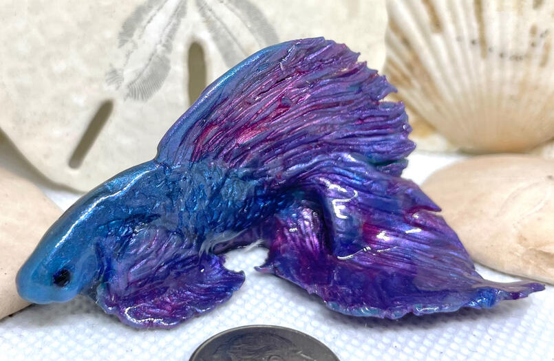 An iridescent blue-and-purple betta fish