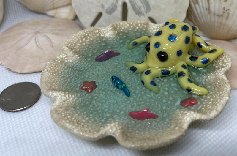 A small blue-ringed octopus lounges in a shallow pool of tiny fish